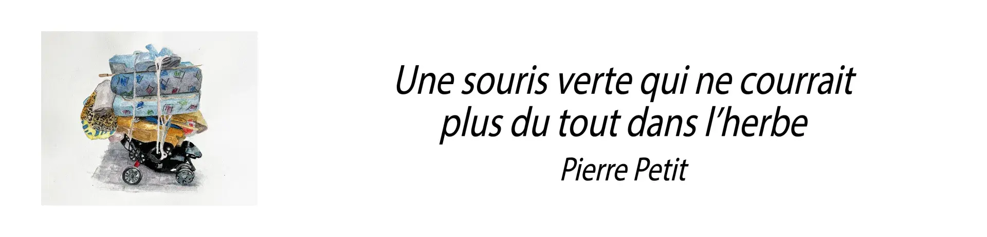 pierre petit exposition une souris verte qui ne courrait plus du tout dans l'herbe