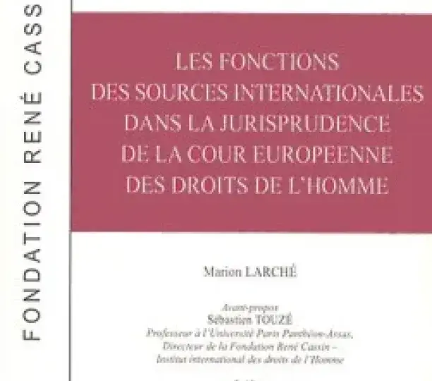  Les fonctions des sources internationales dans la jurisprudence de la Cour européenne des droits de l'homme